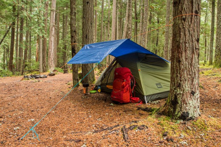 Tarp Tips