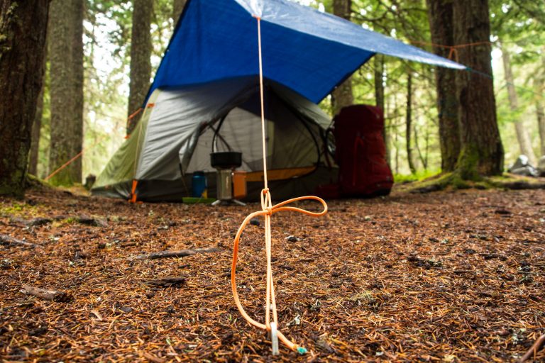 Tarp Tips