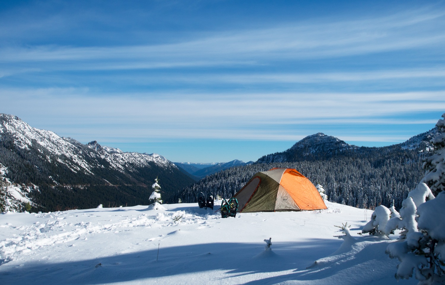 Tarp Shelter Tips for Rain and Wind While Camping - Uncommon Path – An REI  Co-op Publication