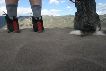 Dogs in National Parks