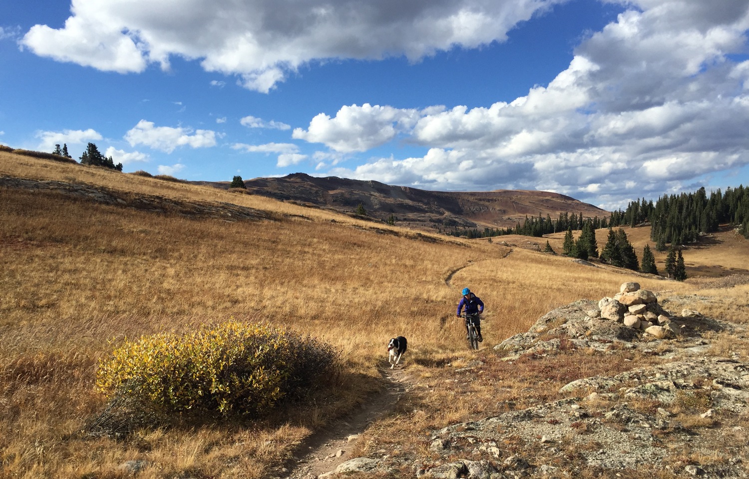 REI Supports COMBA Building Mountain Bike Trails in Colorado s