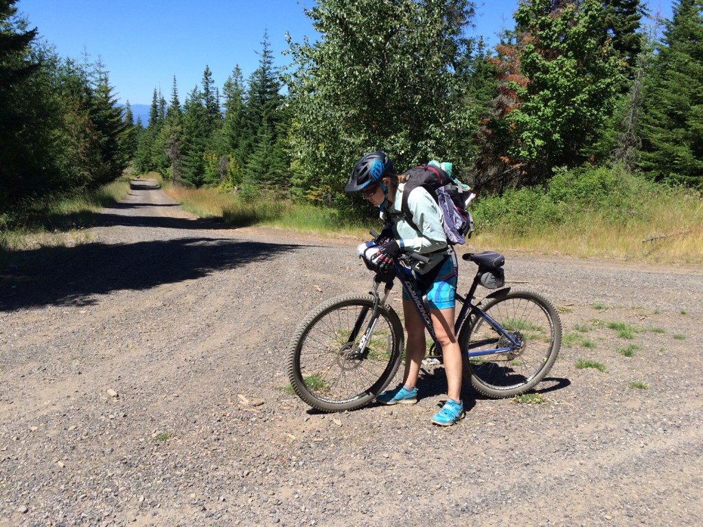 mountain bike