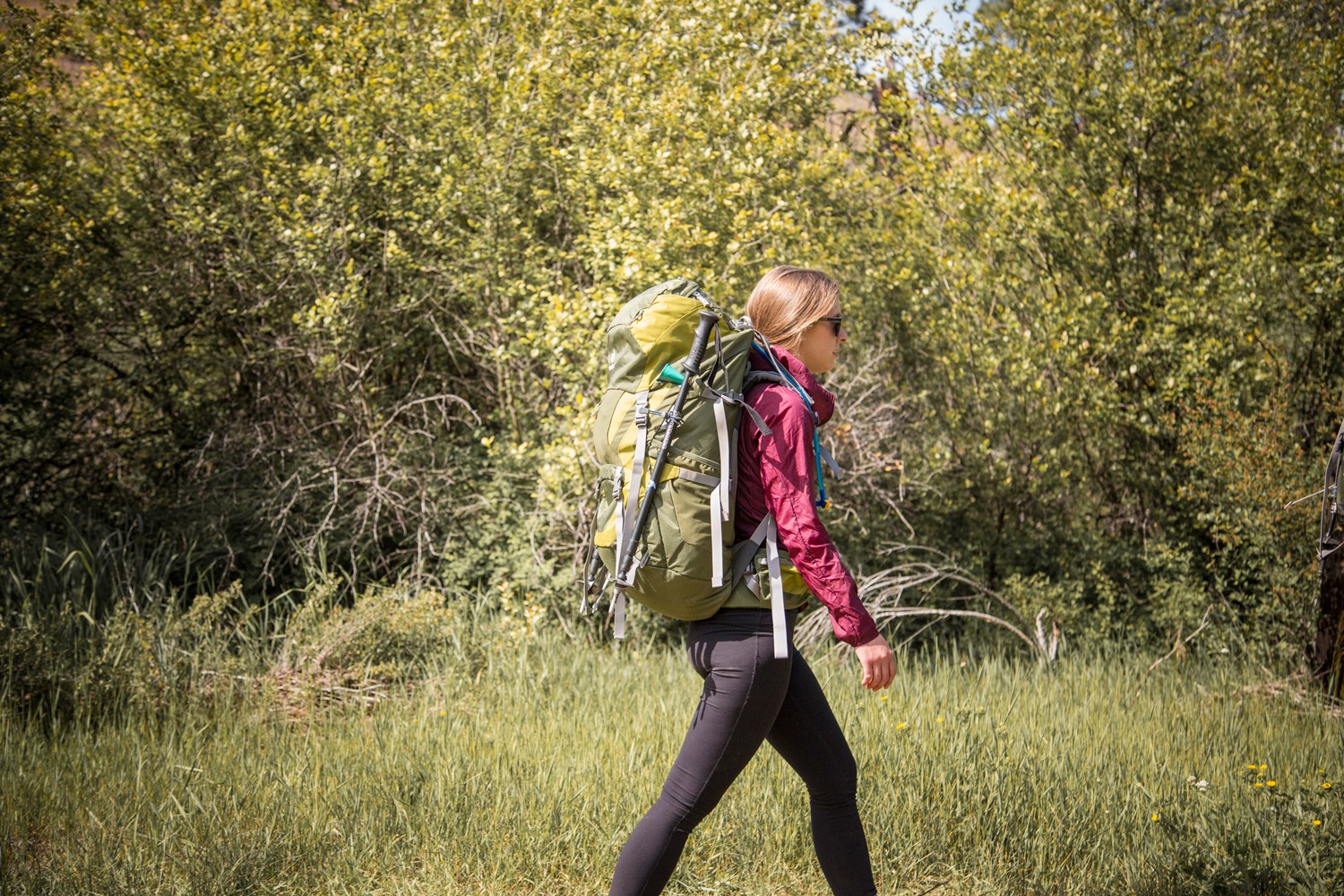 adidas outdoor women's hike tights