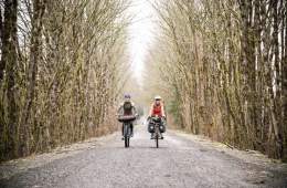 Co-op Cycles bikes on a dirt trail