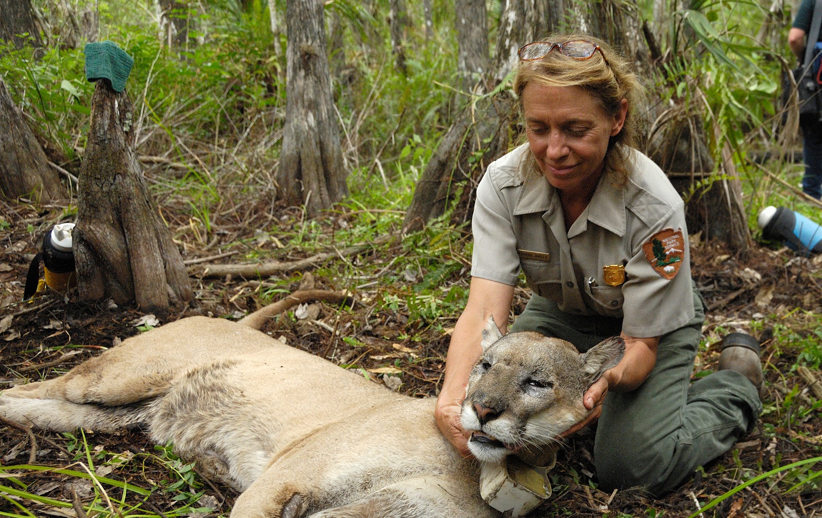 The Cat Lady - Uncommon Path – An REI Co-op Publication