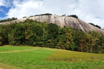 Camping in Stone Mountain