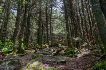 Trails and Ales Near Asheville, NC