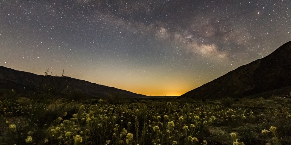 The Milky Way glows brightly over wild flowers at California's Anza-Borrego Desert State Park. 