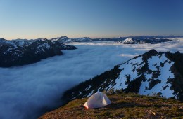 This Plastic Is Good for the Woods: Support National Forests and Grasslands