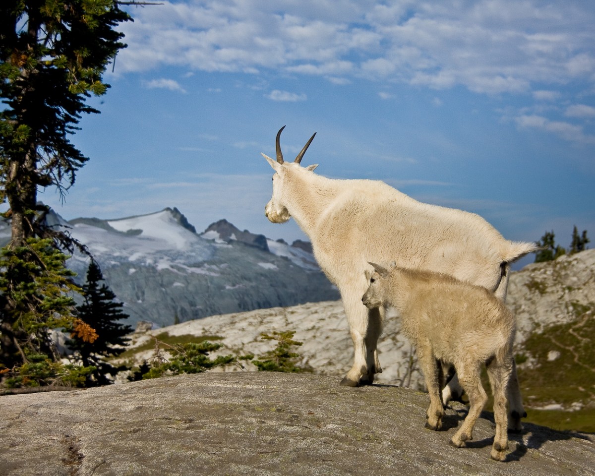 Robin Lakes in the Alpine Lakes Wilderness