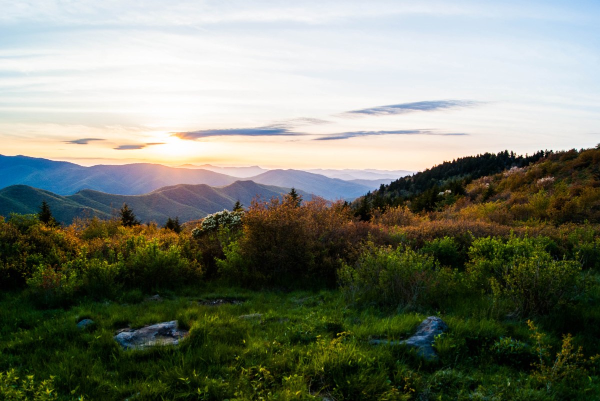 Pisgah National Forest