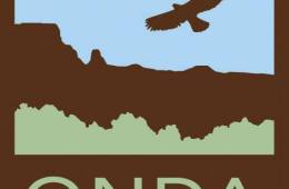 ONDA