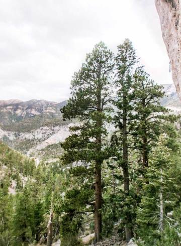 Images Why We Climb Rei Co Op Journal salutations