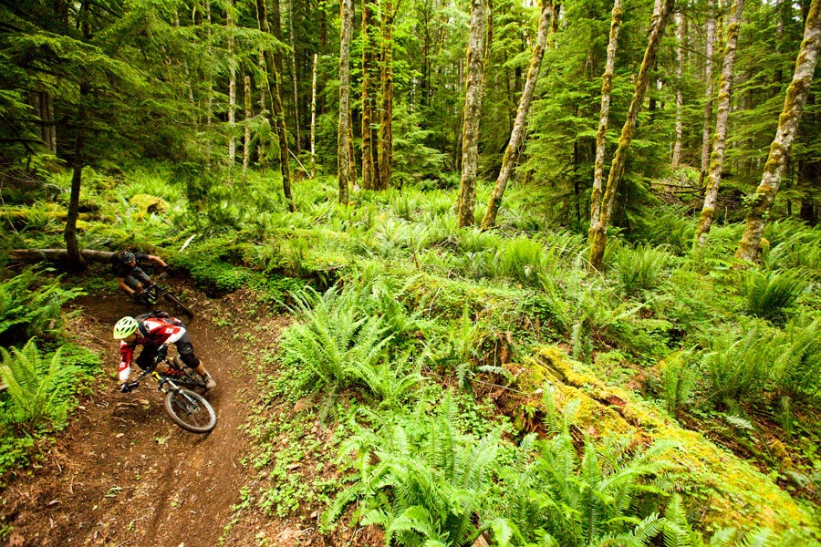 flow trails near me