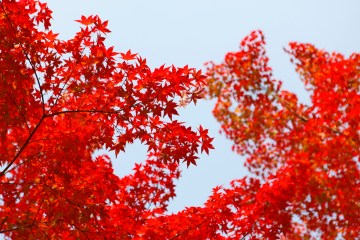 Where and When to Go Leaf Peeping in the National Parks