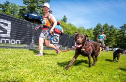 8 Races You Can Run with Your Dog