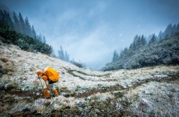 Training Tips for a Pain-Free Return to the Trails