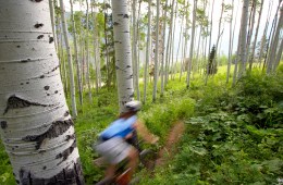 Mountain biker in forest