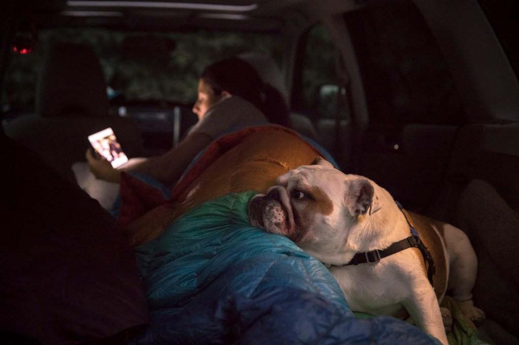 regarder un film sur un téléphone