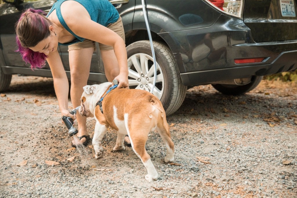 DIY camp shower in use washing off a dog
