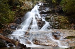 How You Too Can Help Protect Rivers in Our National Forests