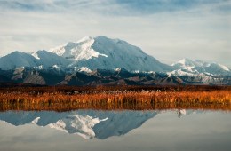 A Century of Denali National Park