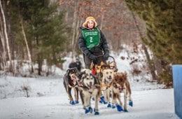 How 4 Polar Adventurers Spent Their Summers