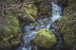 Olympic National Park Backpacking Packing List