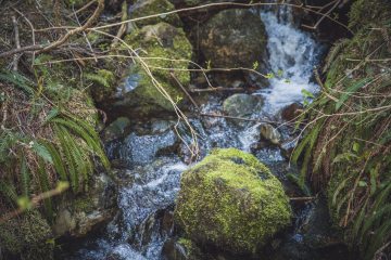 Olympic National Park Backpacking Packing List