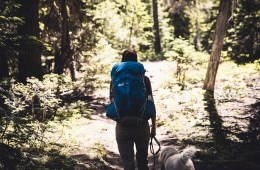 backpacker with dog in the woods