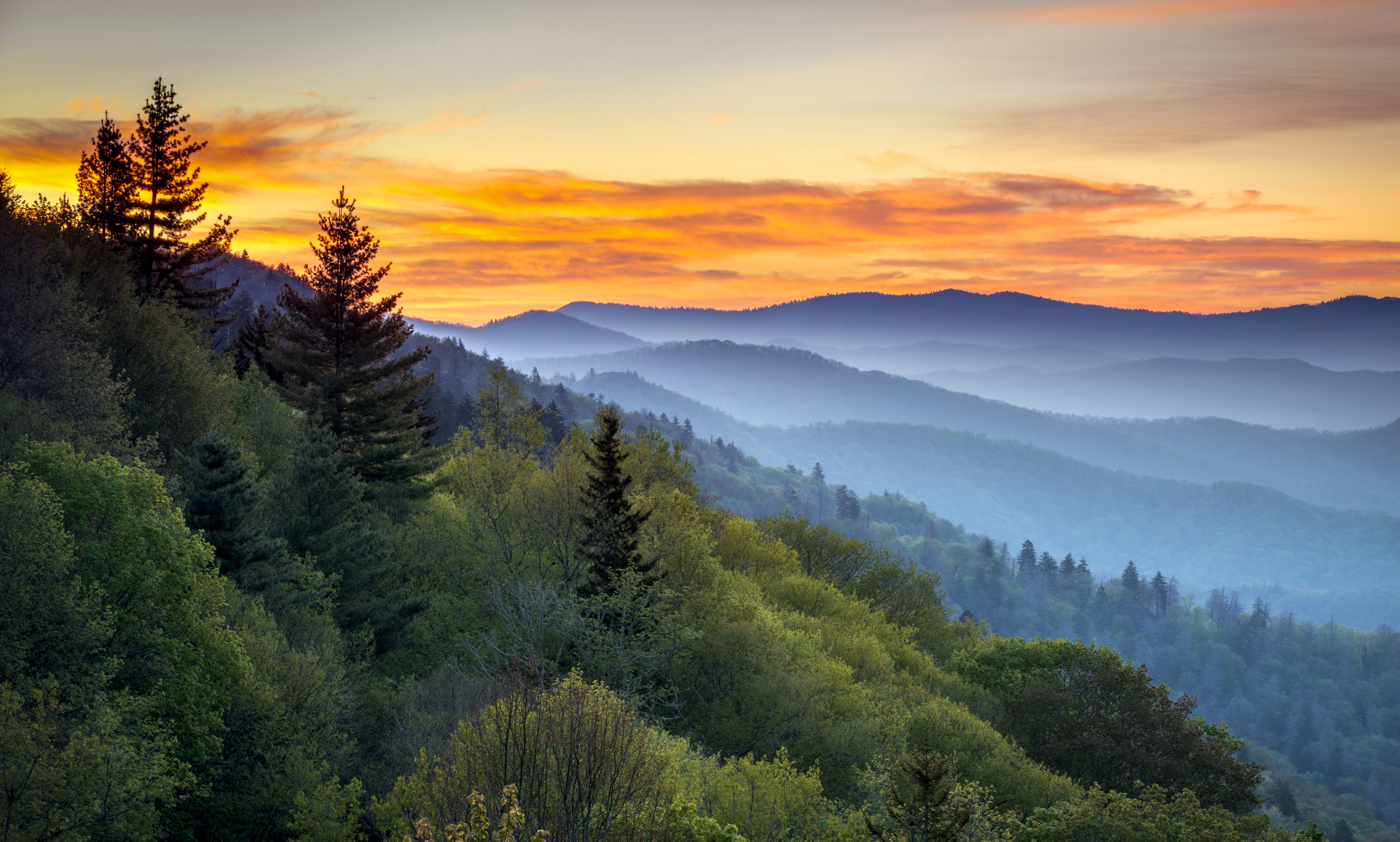 Great Smoky Mountains National Park Camping & Hiking