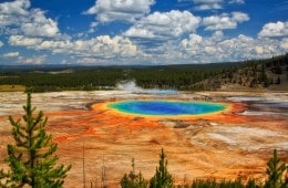Yellowstone National Park Visitor Guide