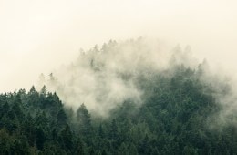 Olympic National Park Visitor Guide