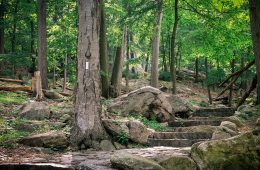 Appalachian Trail Backpacking Packing List
