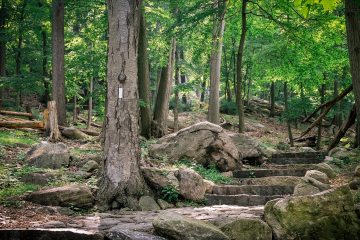 Appalachian Trail Backpacking Packing List