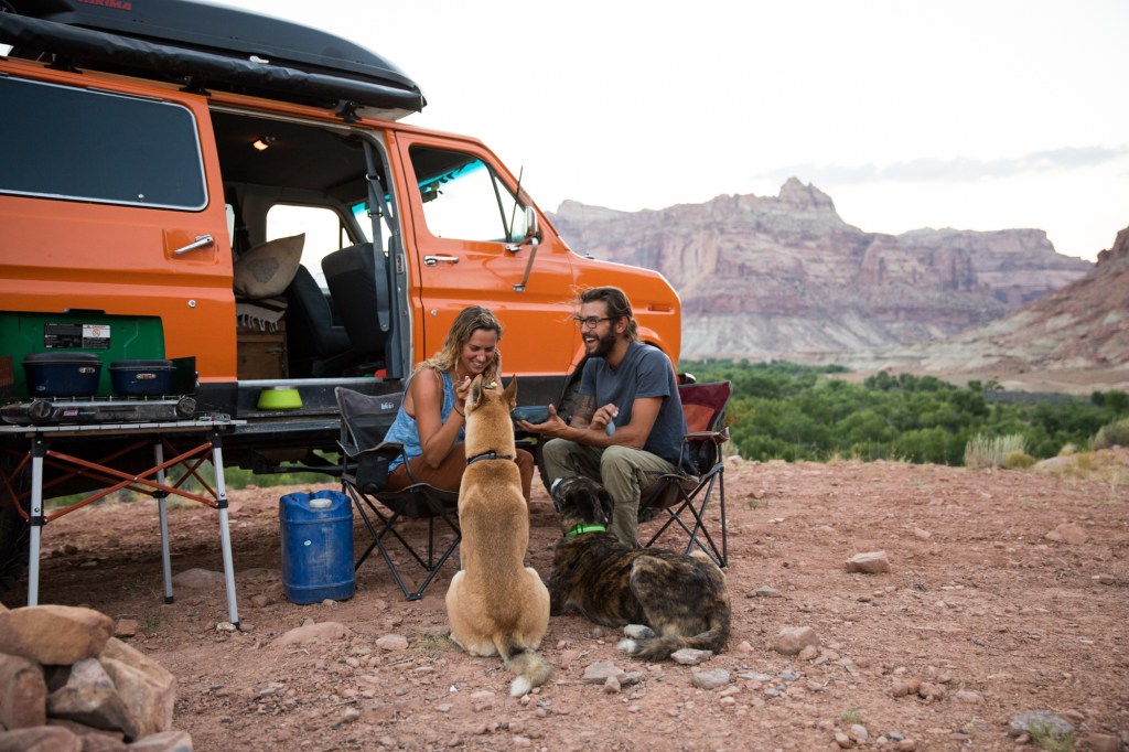 dog and owners car camping