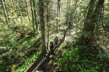 hikers walking on a trail