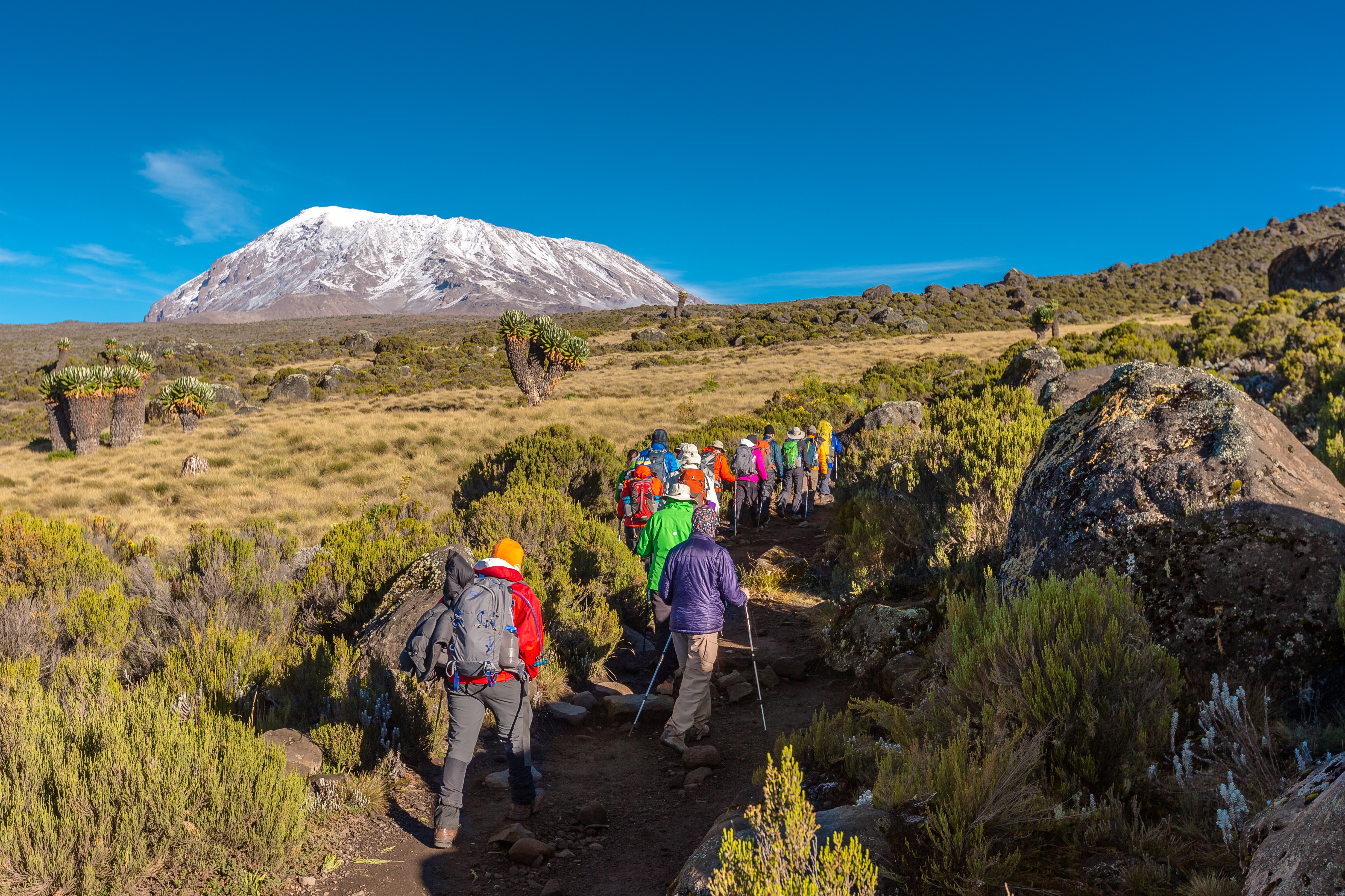 Kilimanjaro adventure shoes sale