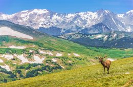 Continental Divide Trail Backpacking Packing List