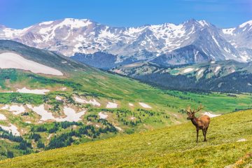 Continental Divide Trail Backpacking Packing List