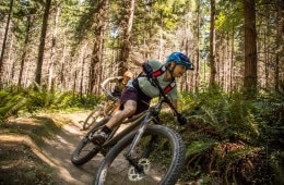Mountain Biker on Trail