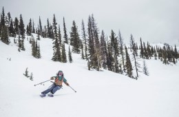 Skiier on a run