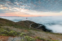 Bay Area Ridge Trail Rewilding Project: Completing the Loop