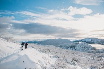 Snowshoers