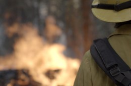 wildland firefighter