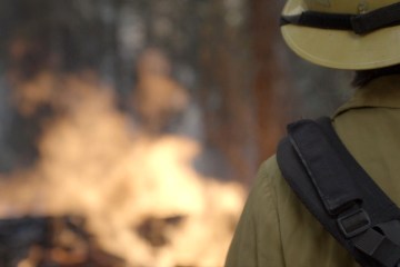 wildland firefighter
