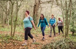 hikers on a trail