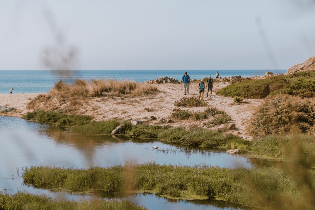 Portugal's coast