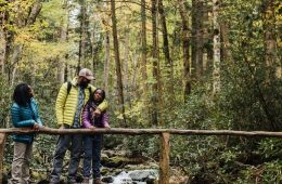 The 8 Best Hiking Apps You Need to Download Now