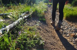 Hiker on a trail